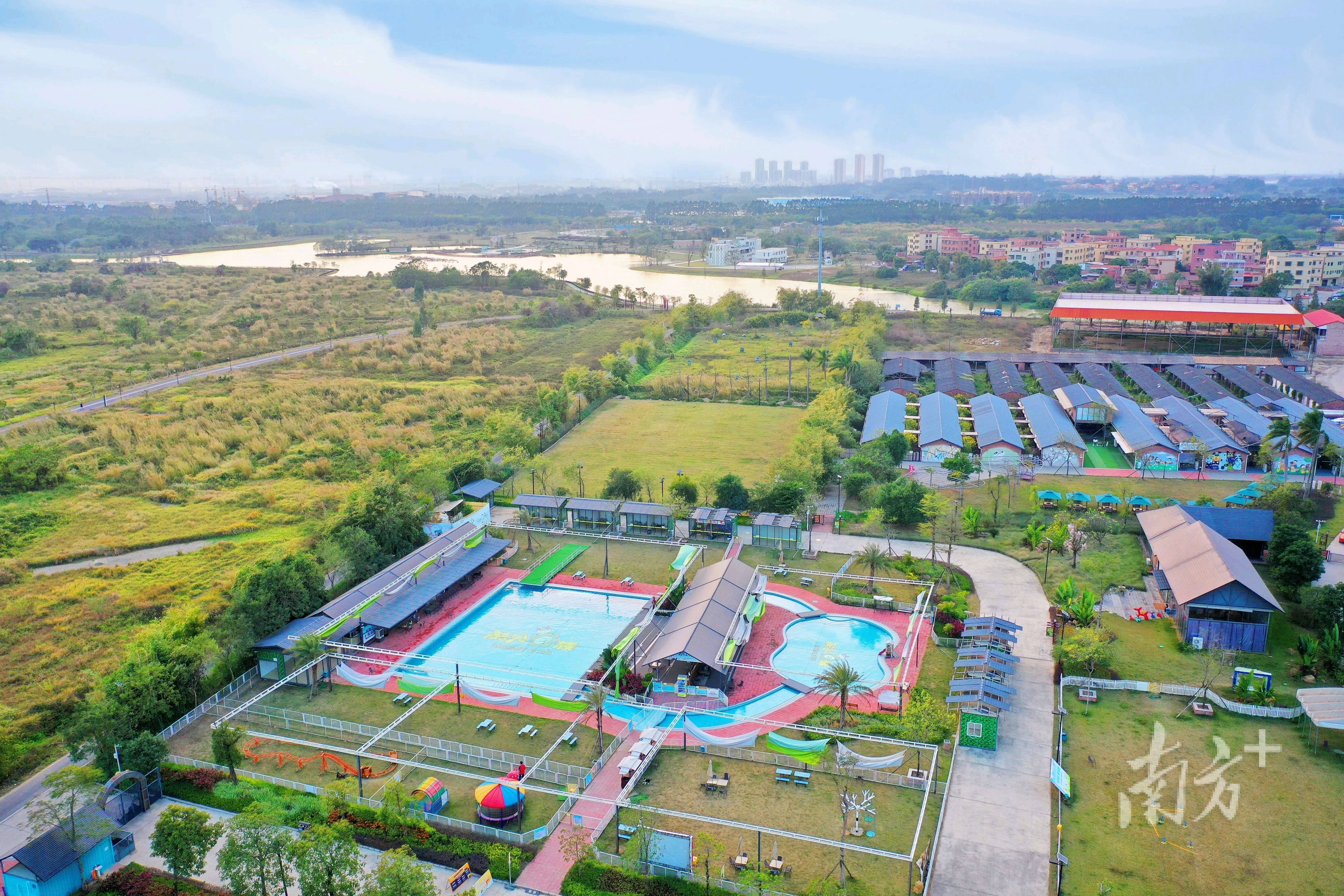 从宠物“迪士尼”到动物“世界杯”！三水萌宠赛事经济出圈